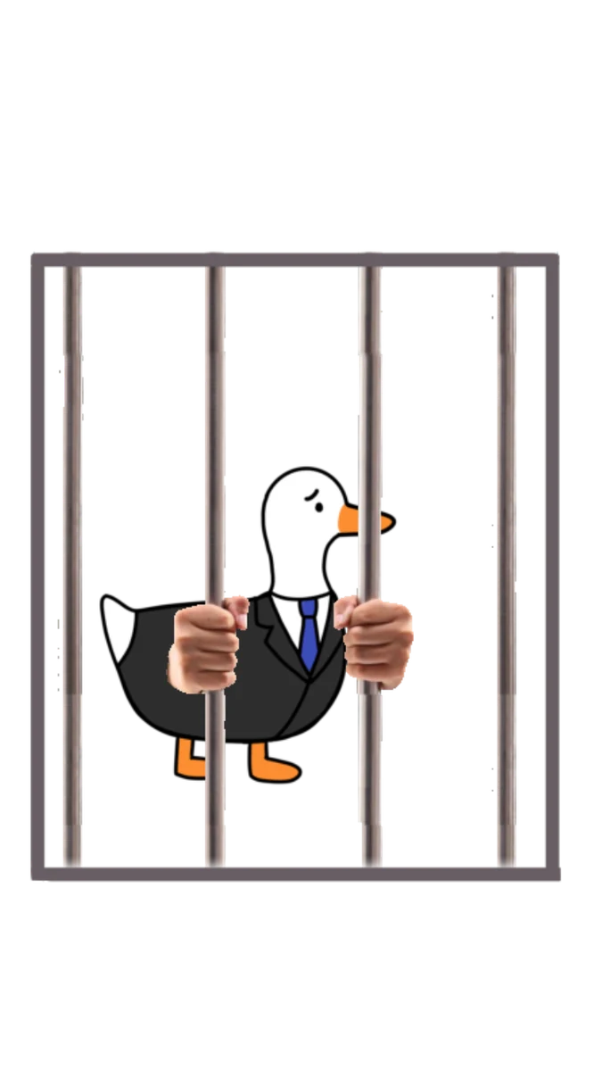 Illustration from the FinGoose online course