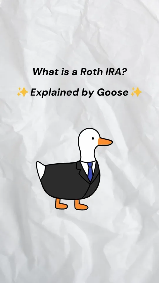 FinGoose video explaining a Roth IRA